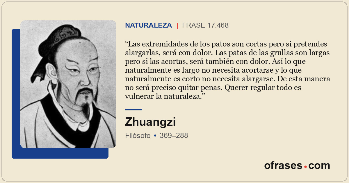 Las extremidades de los patos son cortas pero si pretendes alargarlas, será con...