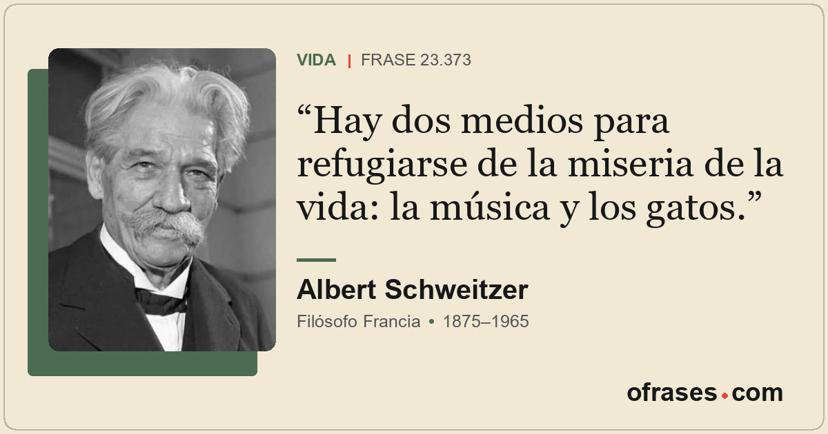 Hay dos medios para refugiarse de la miseria de la vida: la música y los gatos.
