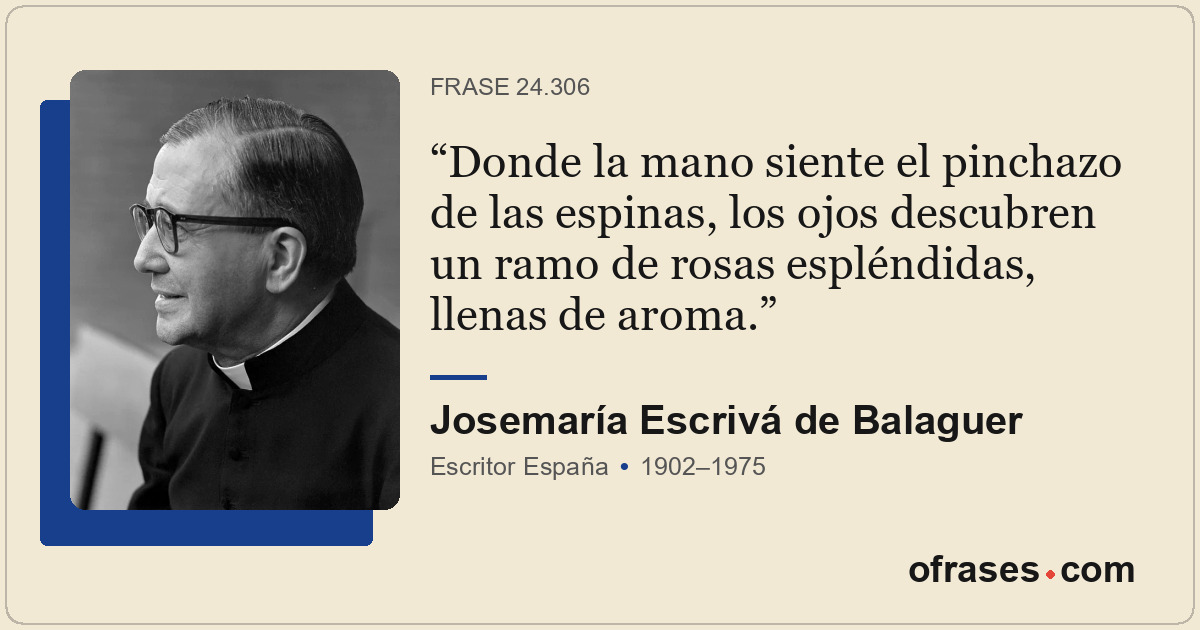Donde la mano siente el pinchazo de las espinas, los ojos descubren un ramo de r...