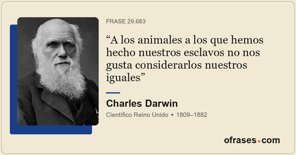 A los animales a los que hemos hecho nuestros esclavos no nos gusta considerarlo...