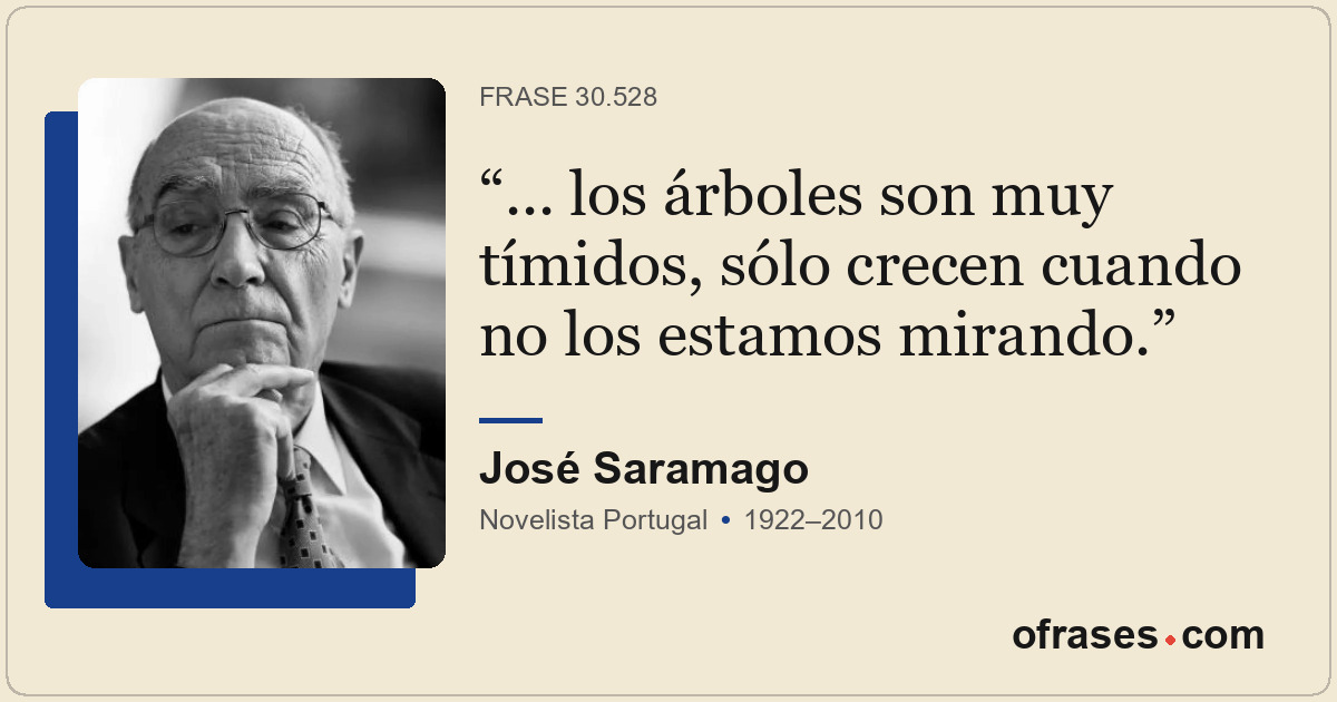 ... los árboles son muy tímidos, sólo crecen cuando no los estamos mirando.