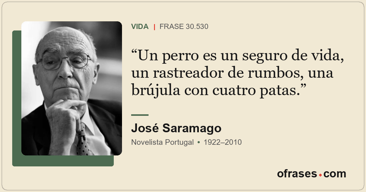 Un perro es un seguro de vida, un rastreador de rumbos, una brújula con cuatro p...