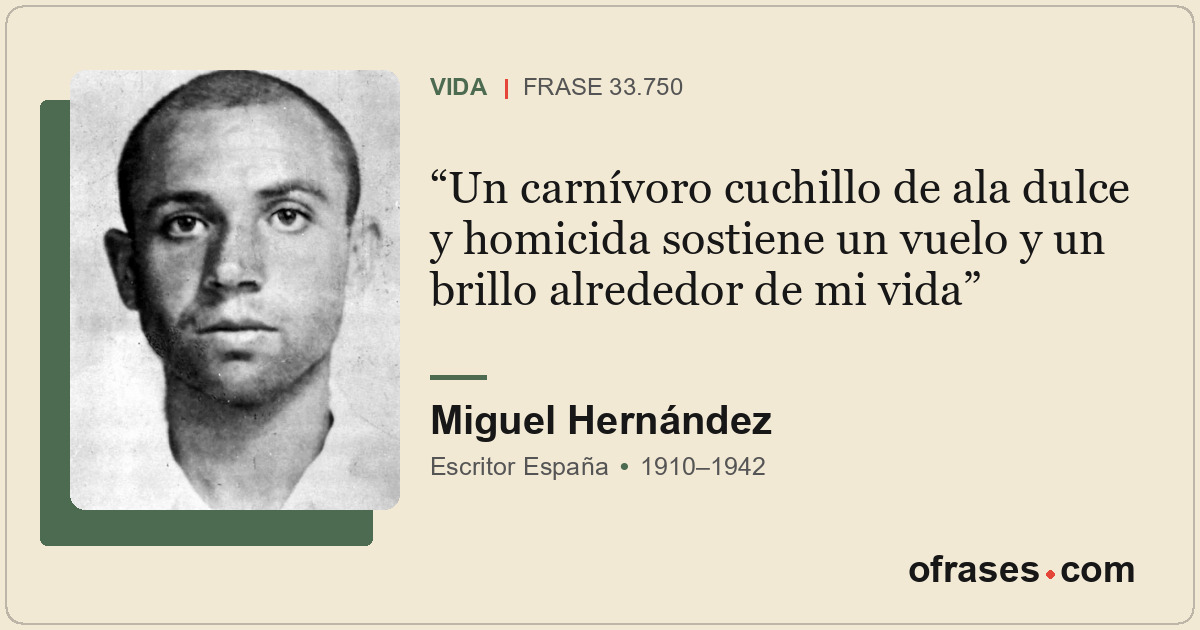Un carnívoro cuchillo de ala dulce y homicida sostiene un vuelo y un brillo alre...
