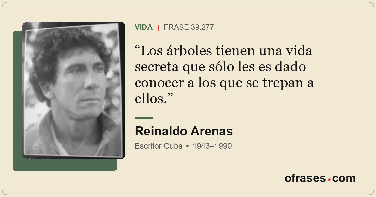 Los árboles tienen una vida secreta que sólo les es dado conocer a los que se tr...
