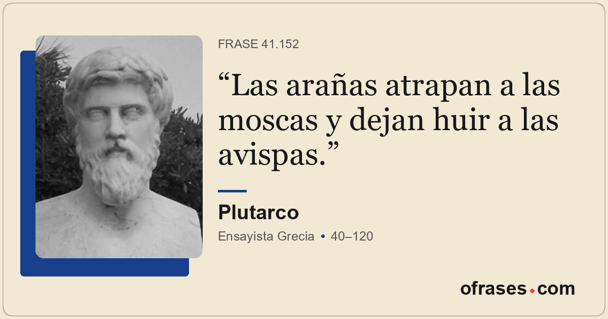 Las arañas atrapan a las moscas y dejan huir a las avispas.