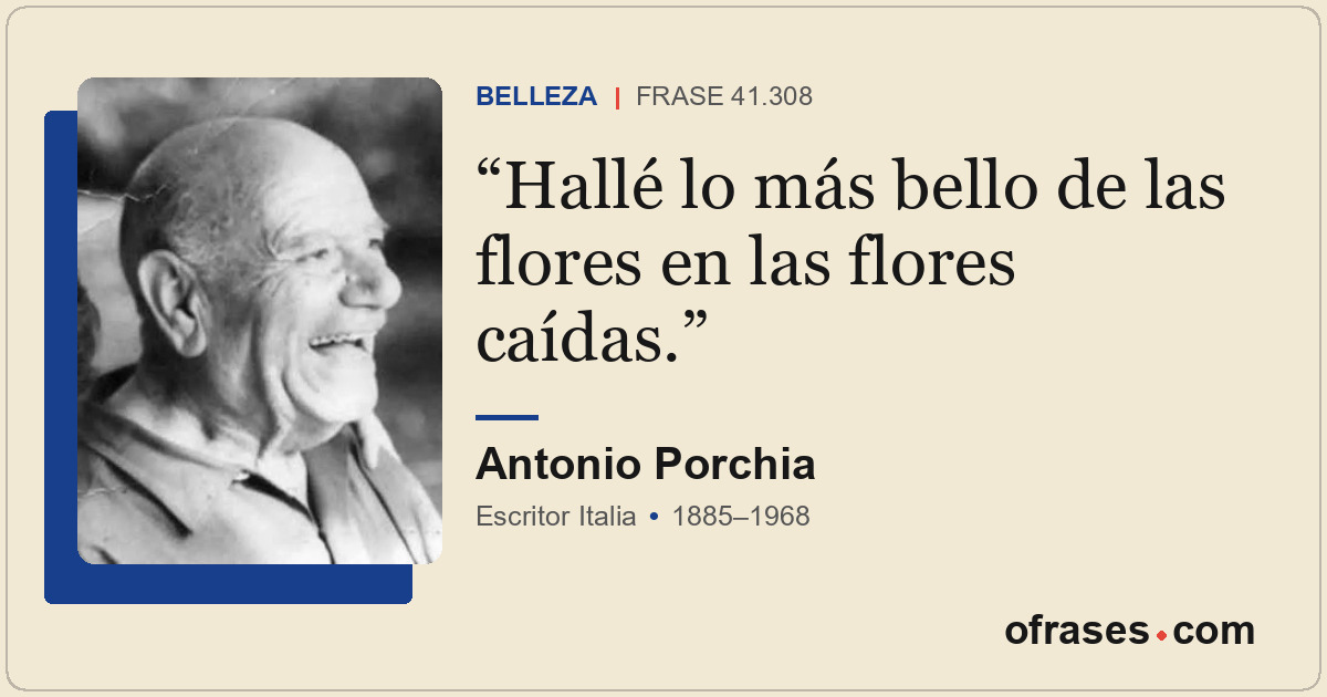 Hallé lo más bello de las flores en las flores caídas.