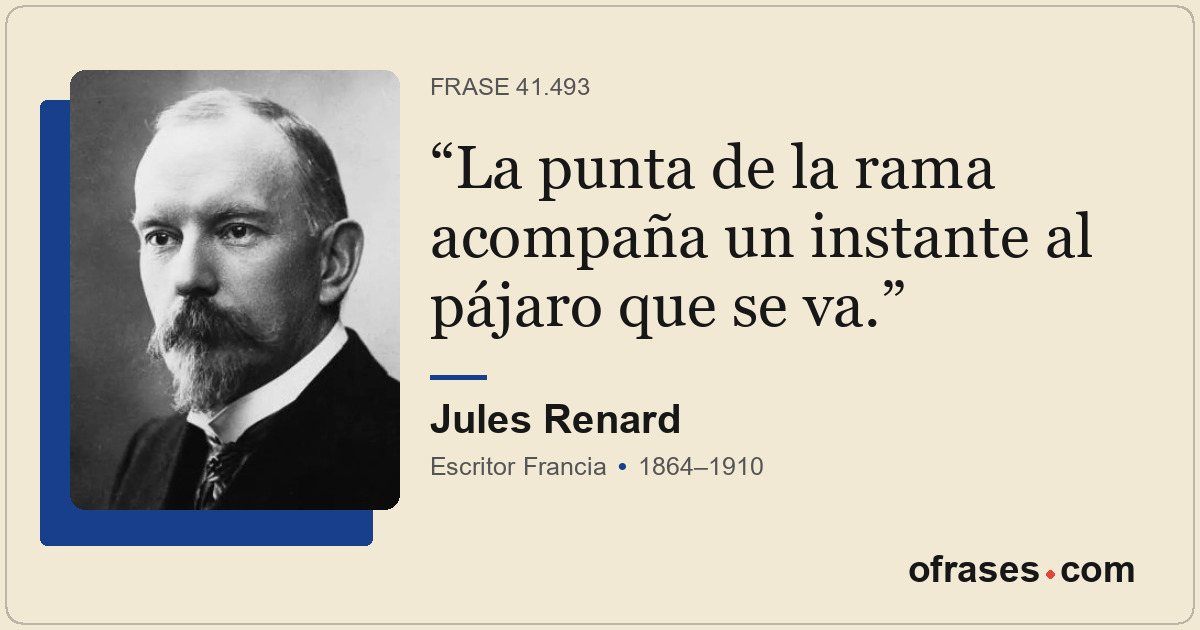 La punta de la rama acompaña un instante al pájaro que se va.