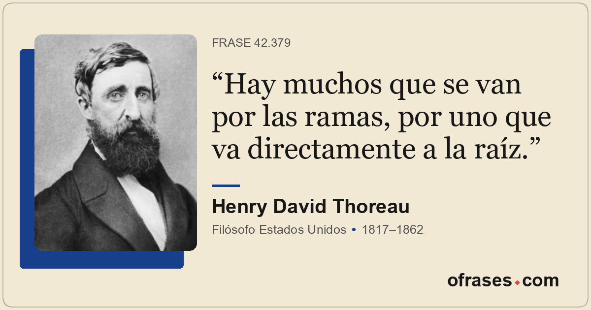 Hay muchos que se van por las ramas, por uno que va directamente a la raíz.