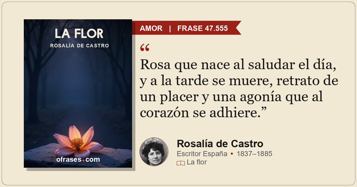 Rosa que nace al saludar el día, y a la tarde se muere, retrato de un placer y u...