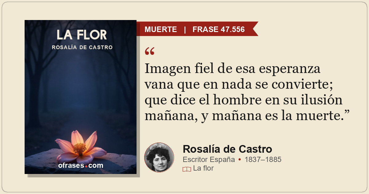 Imagen fiel de esa esperanza vana que en nada se convierte; que dice el hombre e...