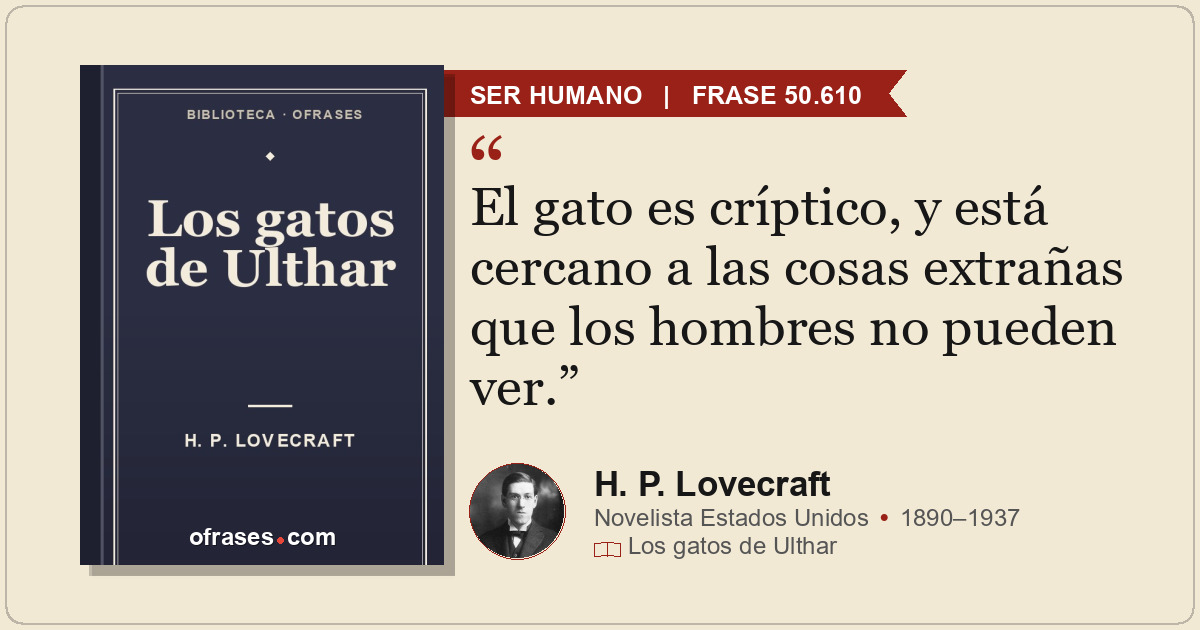 El gato es críptico, y está cercano a las cosas extrañas que los hombres no pued...