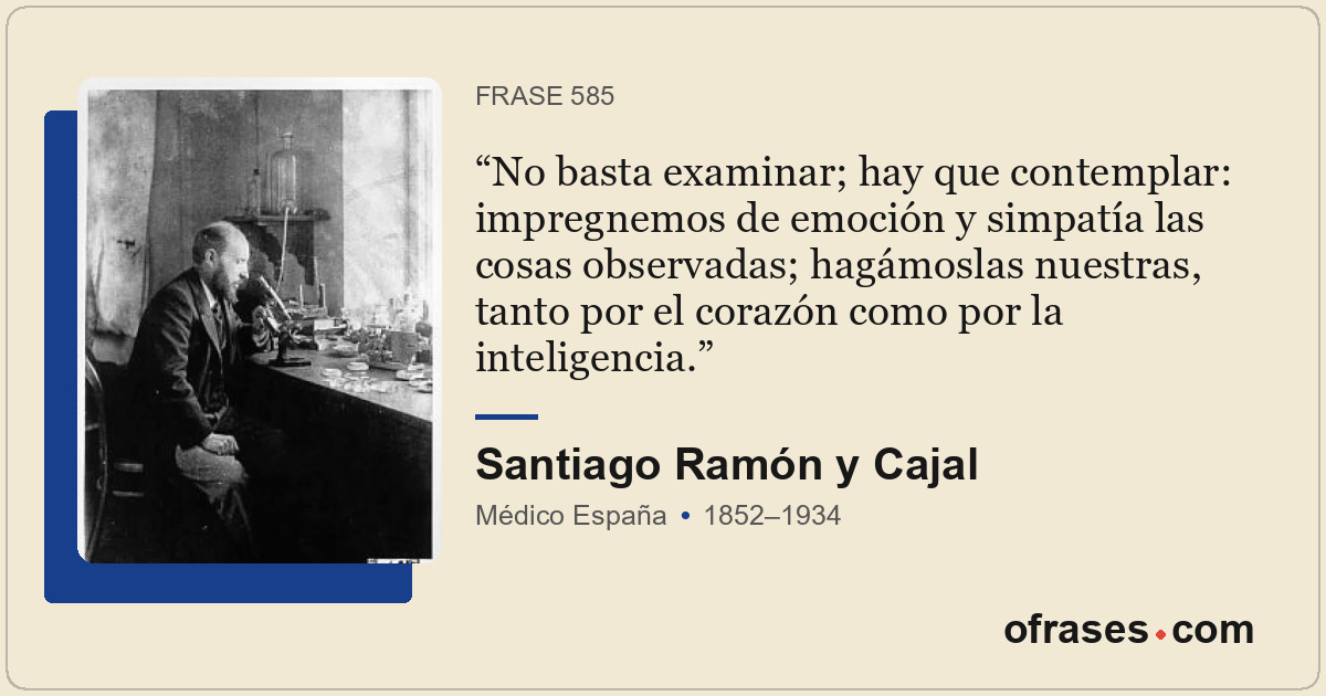 No basta examinar; hay que contemplar: impregnemos de emoción y simpatía las cos...