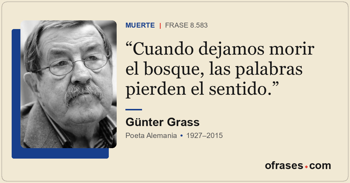 Cuando dejamos morir el bosque, las palabras pierden el sentido.