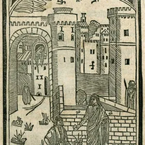Diego de San Pedro