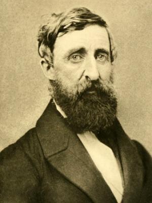 Foto de Henry David Thoreau