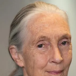 Jane Goodall