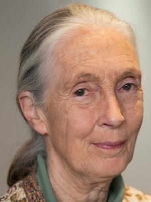 Foto de Jane Goodall
