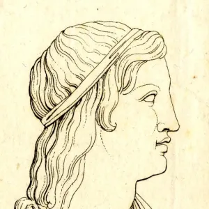 Suetonio