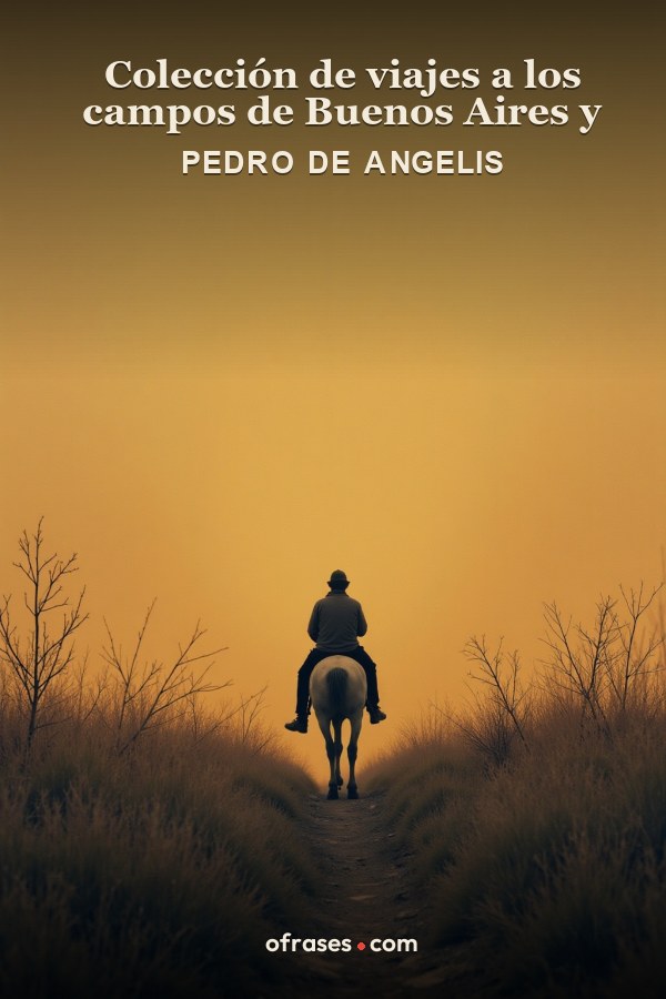 Libro Colección de viajes a los campos de Buenos Aires y a las costas de Patagonia de Pedro de Angelis