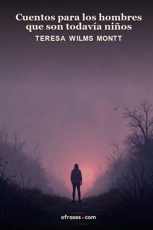 Libro Cuentos para los hombres que son todavía niños de Teresa Wilms Montt