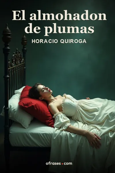 Portada de El almohadon de plumas